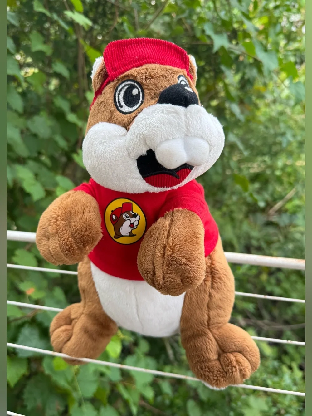 Buc-ees buc ee